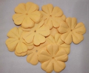 AS4E - 43mm Banana Rama Flower Petals 